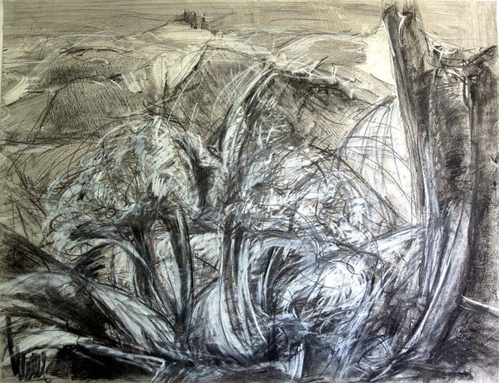 Birgit Szuba