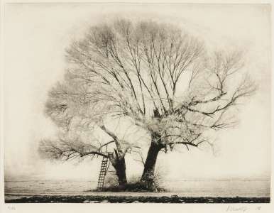 Alois Achatz "Hochsitz", Heliogravüre,26 x 35 cm