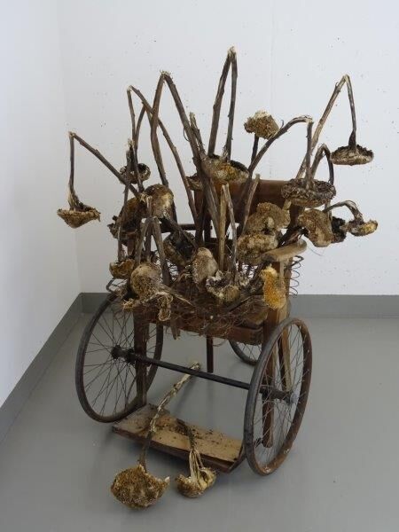 Heidi Gerhardinger