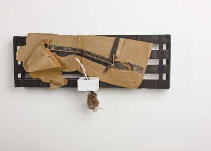 Ludwig Bäuml „moro passo“, 2011, Holz, Papier, Karton, Dispersion, Pflanze, 56 x 118 x 20,5 cm