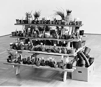Ludwig Bäuml "Pflanzregal", Holz, Plastik, Gips, Sand, Draht, Karton