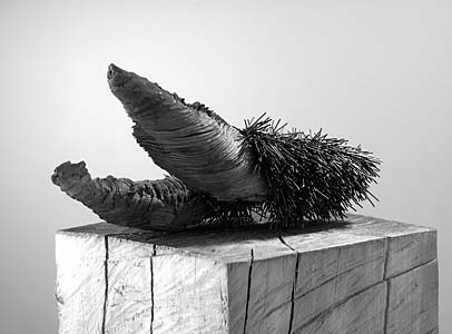 Ludwig Bäuml "Erdkrümmelige Spitzmaulrüssler", Holz, Draht, 6 x 8 x 20 cm