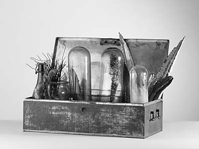 Ludwig Bäuml "Votivkiste",2001, Blech, Glas,Draht, Wachs, Holz, Polimentversilberung,Weihwasser, 160 x 52 x 35 cm