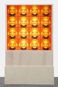 Peter Dorn „Good bye Norma“, 2012, Plastiktaschen bedruckt + Leuchtkasten, 180 x 105 x 25 cm