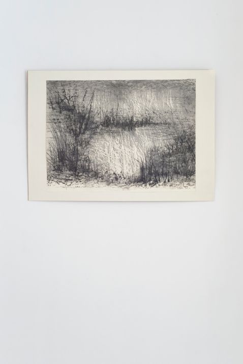 Renate Haimerl-Brosch
