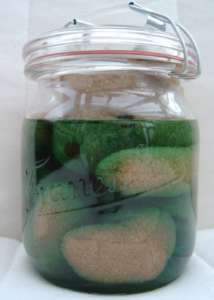 Gilla Buchner Gummibär-Waldmeistergeschmack, Objekt, 2009, 15x11cm
