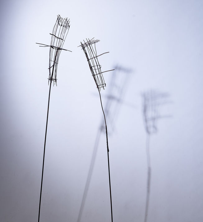 Renate Haimerl-Brosch