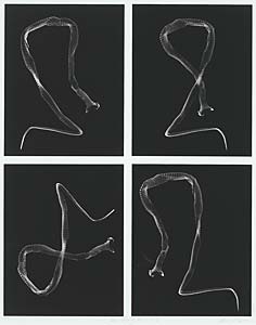 Stefan Hanke "Du, Schlange, Du #1", 2003, Photographie, 90 x 70 cm