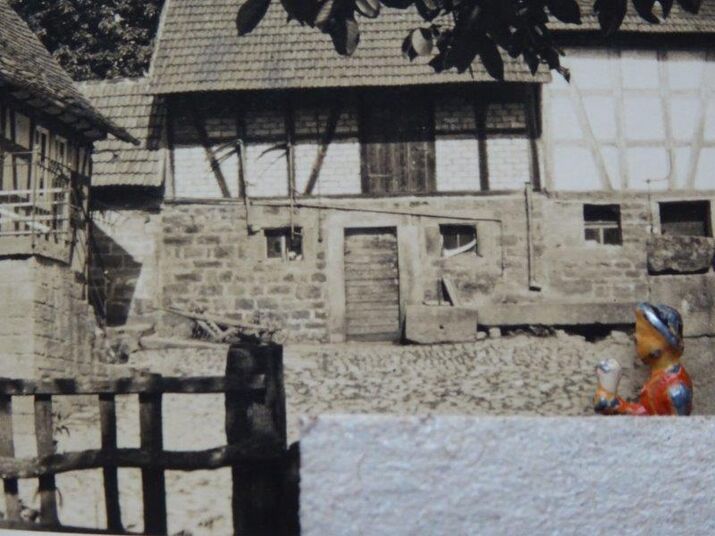 Heidi Gerhardinger