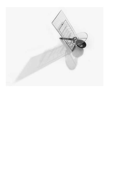 Tone Schmid