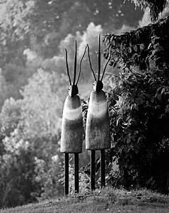 Peter Mayer