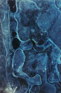 Rudolf Riederer „o. T.“, Fotografie, 60 x 40 cm
