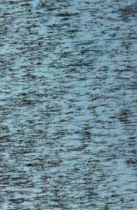 Rudolf Riederer „ohne Titel“, 2012, Fotografie, 60 x 40 cm