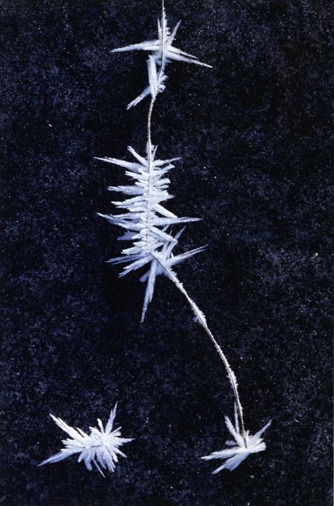 Rudolf Riederer