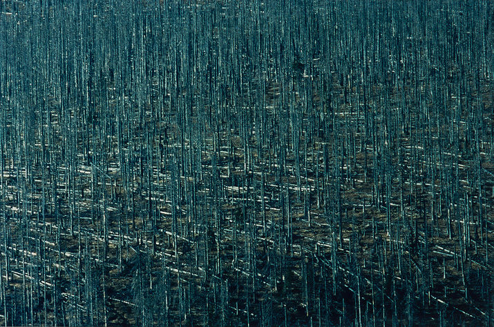 Rudolf Riederer