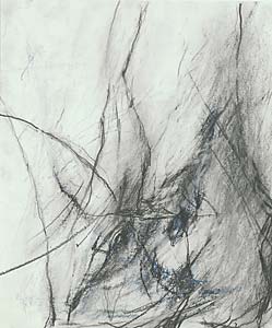 Paul Schinner "o.T.", 2003, Bleistift, Ölkreide, 60 x 50 cm