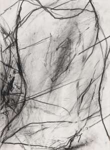 Paul Schinner „o. T.“, 2007, Bleistift, Ölkreide, 40,5 x 29,5 cm