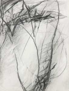 Paul Schinner „o. T.“, 2011, Bleistift, 35 x 27 cm
