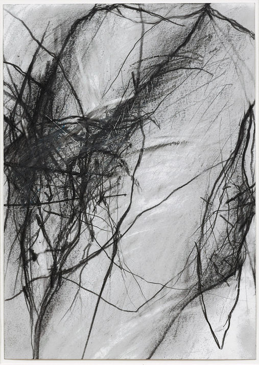Paul Schinner
