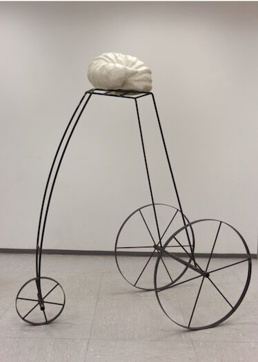 Renate Haimerl-Brosch