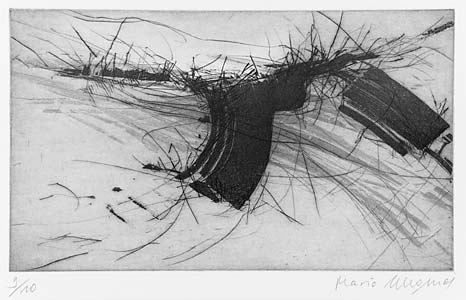 Mario Schosser "Feld I" Farbradierung