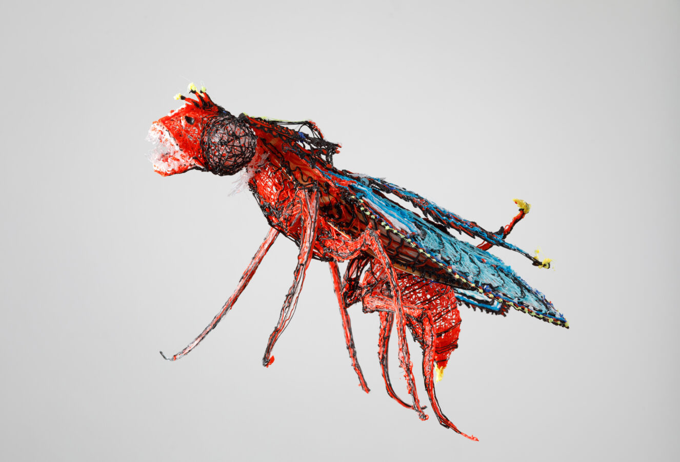 Tony Kobler